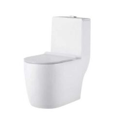 Bệt - Bồn cầu Bancoot TS52 liền khối