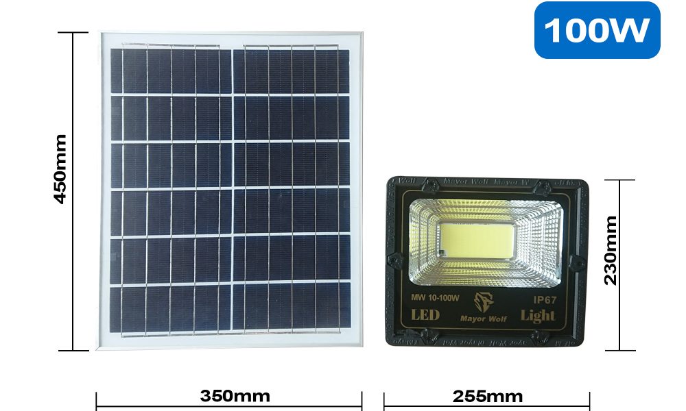 Đèn năng lượng mặt trời LY-TYN016 100W / LY-TGD001 100W - Hình ảnh 3