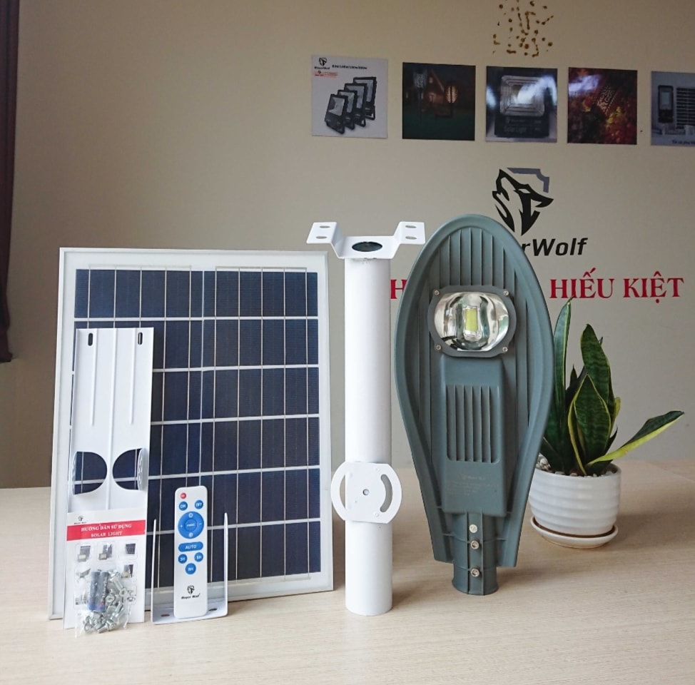 Đèn đường năng lượng mặt trời 1 LED LY-TYN007 – 50W (Đèn Lá) - Hình ảnh 4