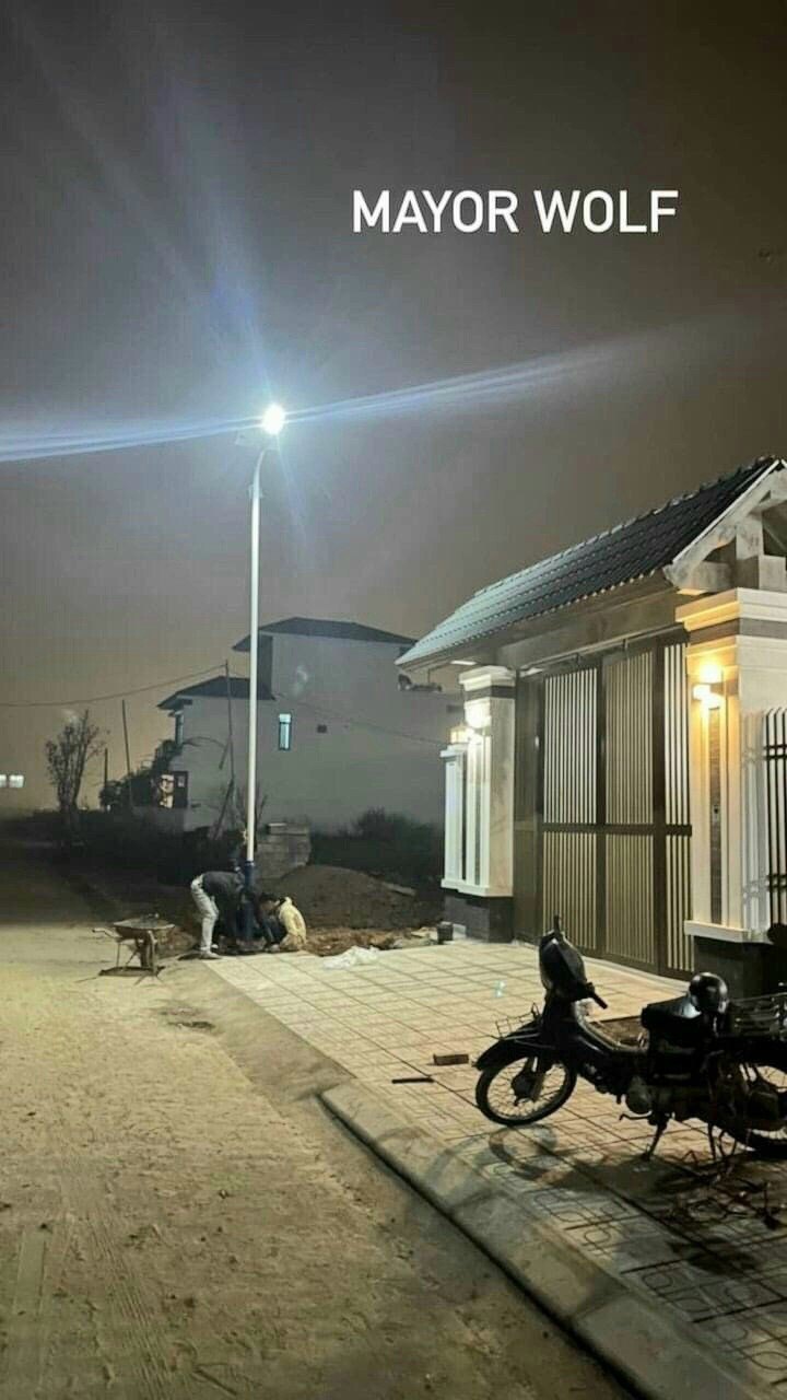 Đèn đường năng lượng mặt trời 1 LED LY-TYN007 – 50W (Đèn Lá) - Hình ảnh 3