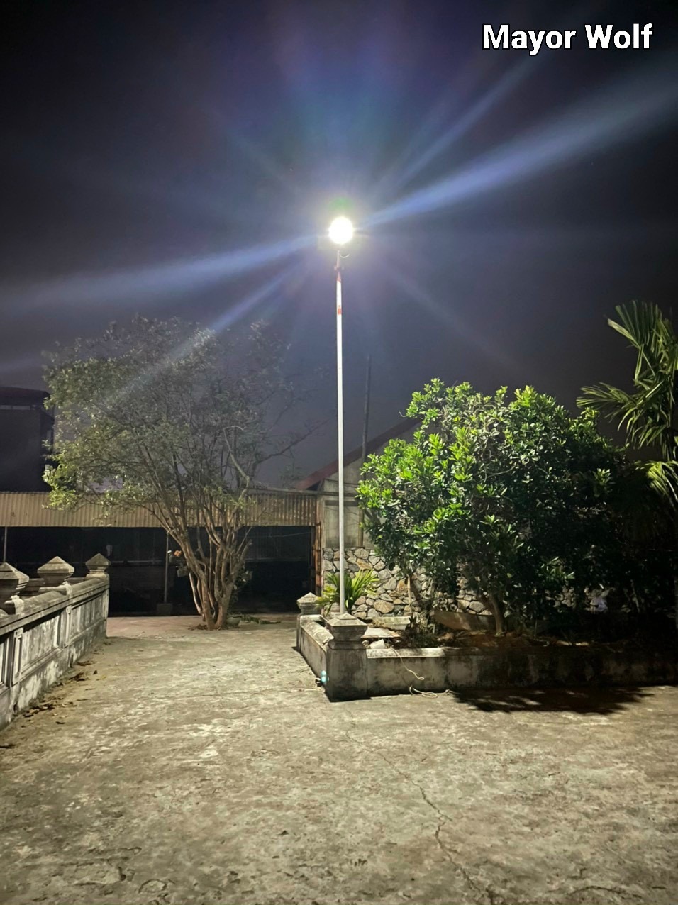 Đèn đường năng lượng mặt trời 1 LED LY-TYN007 – 50W (Đèn Lá) - Hình ảnh 2